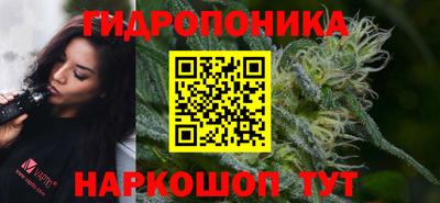 стафф Кандалакша