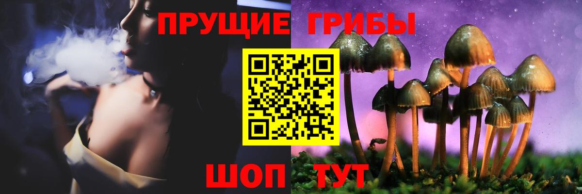 Галлюциногенные грибы Psilocybe  Вход с VPN  магазин    Коркино 